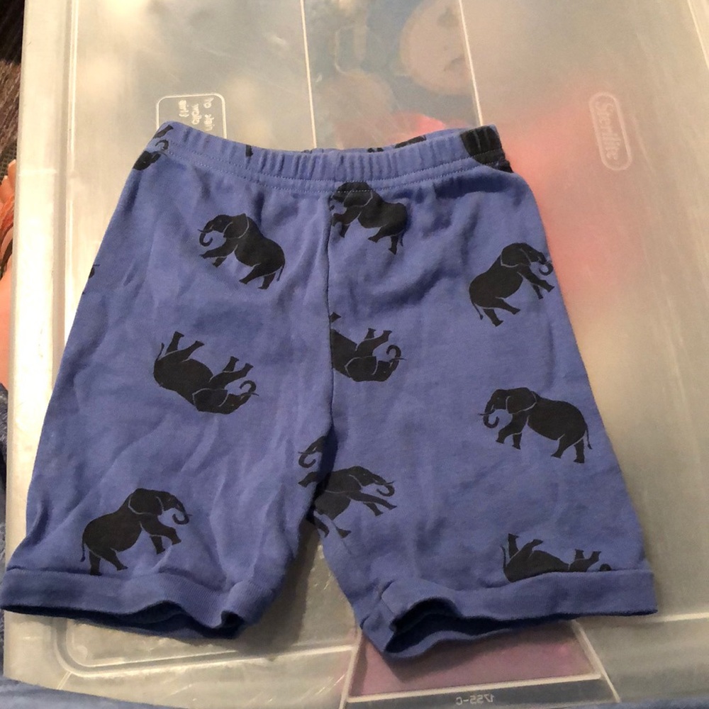 2T boys shorts 🩳 EUC